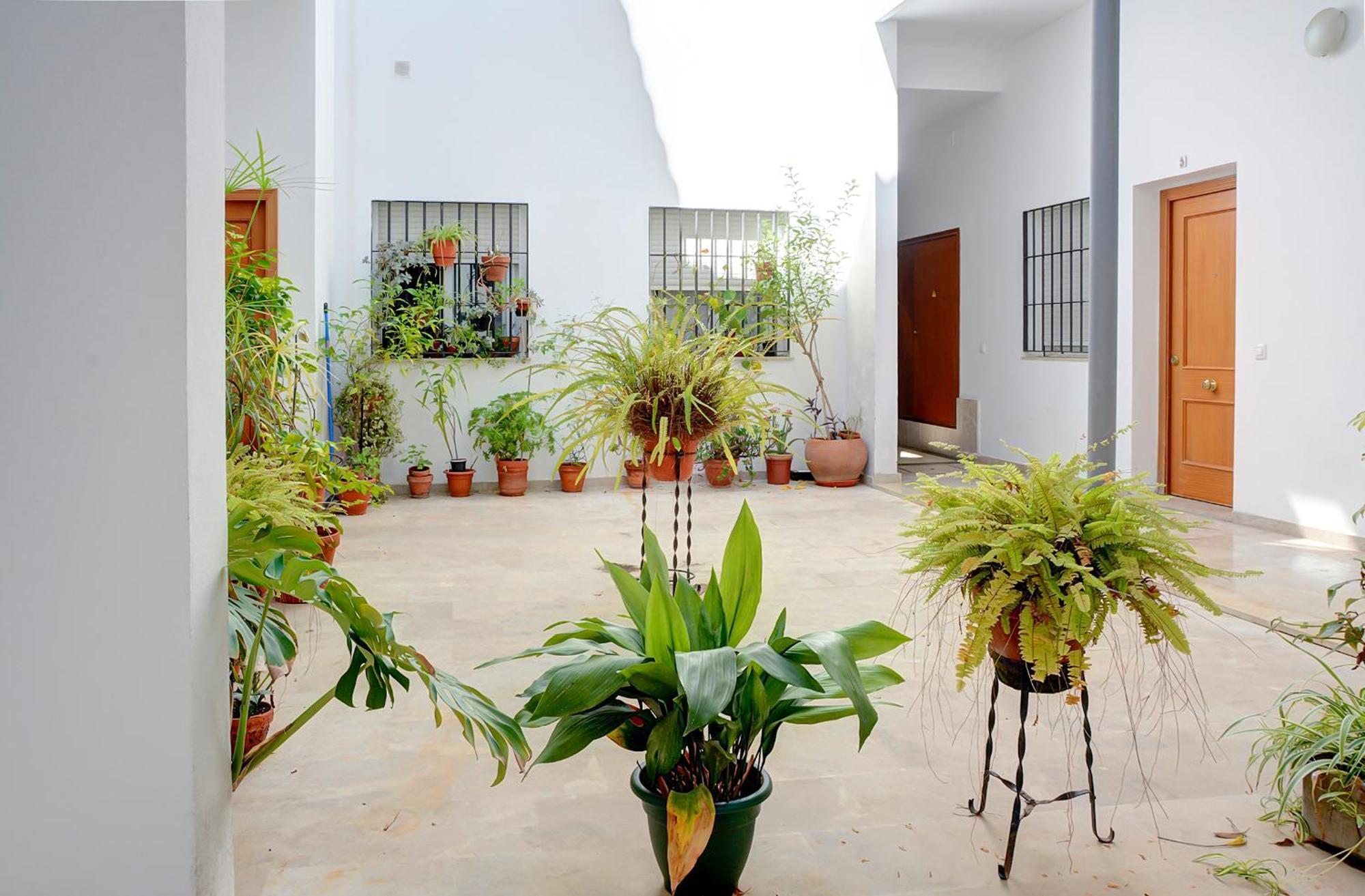 סביליה Estudio Plaza De La Encarnacion מראה חיצוני תמונה